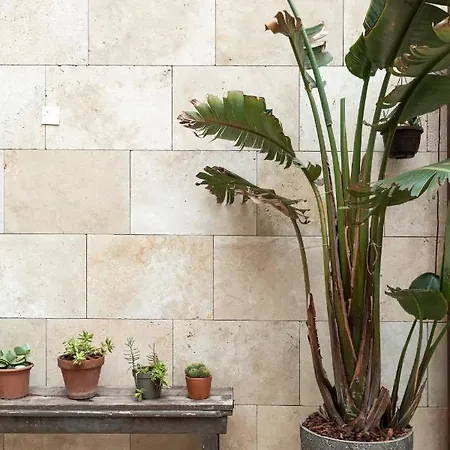 Pearl Pad - Stylish Seaside Duplex With Hot Tub - Apartment